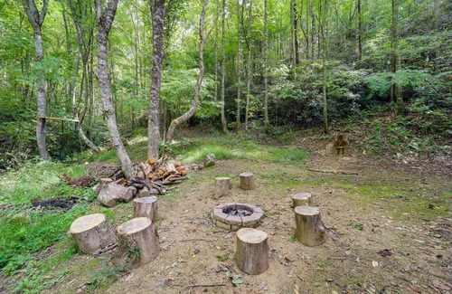 Elk Park Cottage | 'greystone' Creekside Cabin: Hike, Fish & Explore!