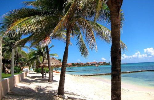 Puerto Aventuras Apartment | Ground Floor Paradise with Marina View and Pool Paddleboard Included