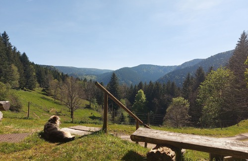 Plainfaing Apartment | Group rooms in a secluded farmhouse in the High Vosges mountains