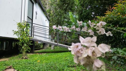 Moniquira Other | Guadalajara Glamping