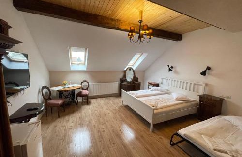 Sfantu Gheorghe House | Guest House Hena