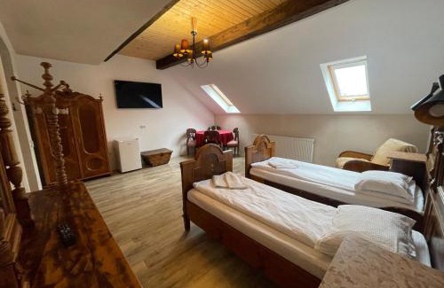 Sfantu Gheorghe House | Guest House Hena