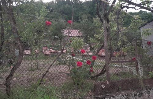 Tsqaltubo House | Guest house Mekvena