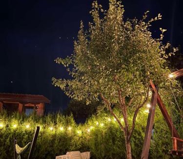 Sapareva Banya House | Guest House Vasilena Самостоятелно наемане FREE PARKING