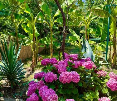 Sinemoretz House | Guest House Yanakievi