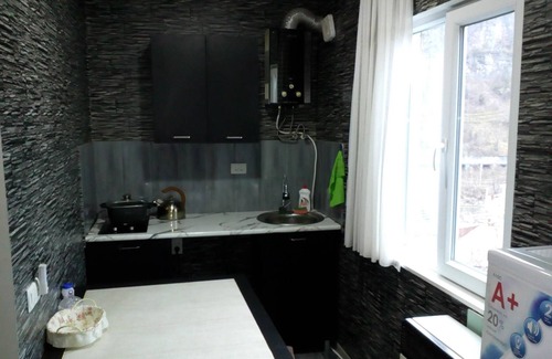Borjomi Apartment | Guesthouse in borjomi near the forest 15minutes to the theme park close to train
