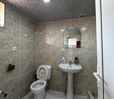 Borjomi House | Guesthouse Pirosmani street 26
