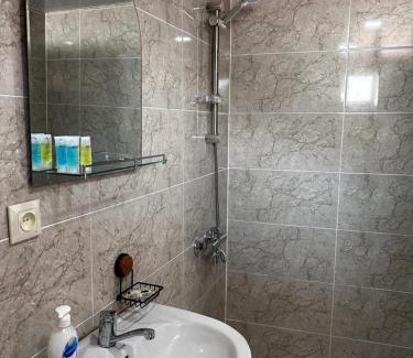 Borjomi House | Guesthouse Pirosmani street 26