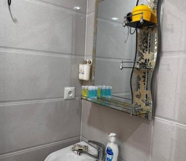 Borjomi House | Guesthouse Pirosmani street 26