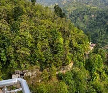 Ayder Apartment | Gunguli Pansiyon