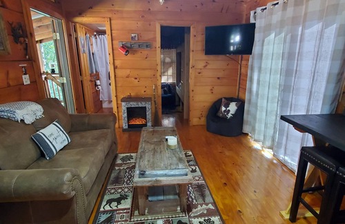 Ellijay Cabin | GUNSMOKE The not so "tiny" cabin with fenced back yard!