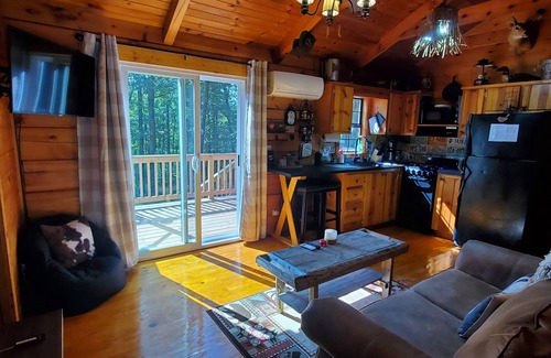 Ellijay Cabin | GUNSMOKE The not so "tiny" cabin with fenced back yard!