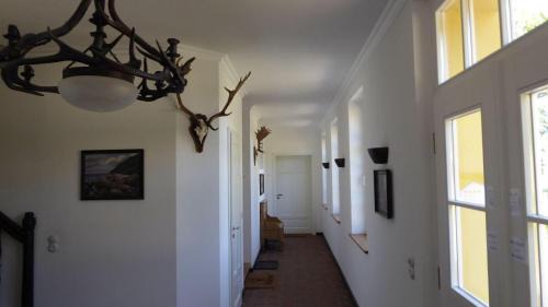 Gingst Apartment | Gut-Rattelvitz-Parterre-B-hochwertig-Sauna-Kamin-eTankstelle-Spielscheune-15-000qm-Parkland