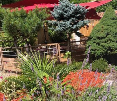 Arjuzanx Hotel | Hôtel du Lac d'Arjuzanx