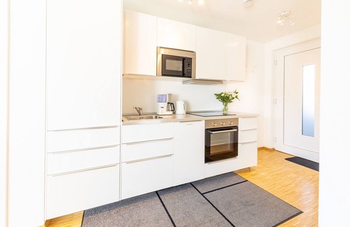 Hinterzarten Apartment | H10 vacation apartment, 55sqm, roof terrace, 1 bedroom, max. 4 persons