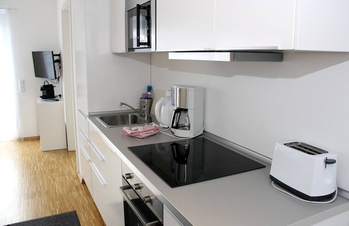 Hinterzarten Apartment | H11 Apartment, 55sqm, roof terrace, 1 bedroom, max. 4 persons