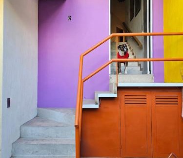 Zapopan House | Habitación #2 TALPA CASA GILTOWN