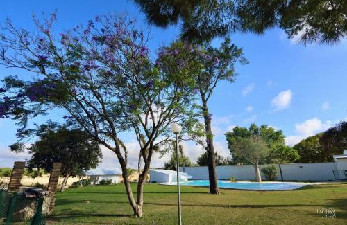 Puerto Real Apartment | Hacienda Laguna Seca - Apart. Lavanda