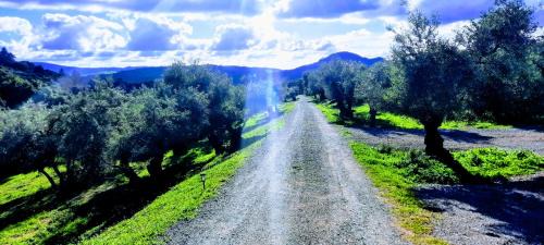 Algodonales Villa | Hacienda Molino Nuevo