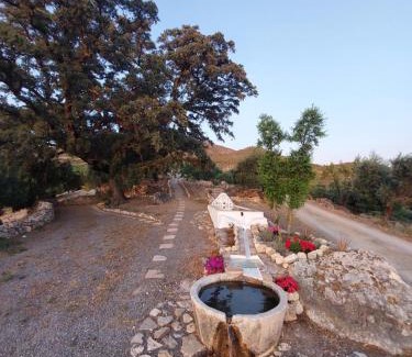 Algodonales Villa | Hacienda Molino Nuevo