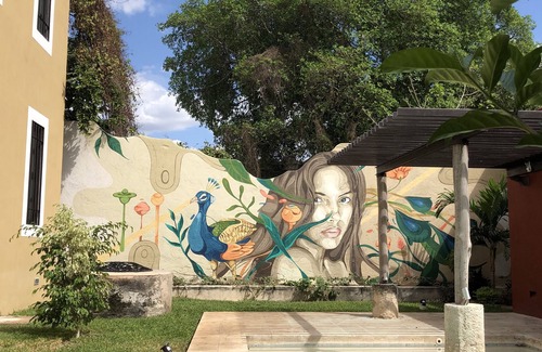 Barrio de Santiago House | ★Hacienda Style★ Friends & Family oriented ♥Pool♥ BBQ, Netflix, Free Parking, AC