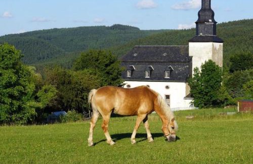 Meura Apartment | Haflinger Reiterhof Meura