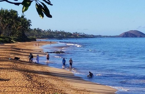 Kihei House | Hale Kamaole 176