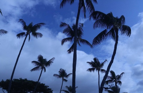 Kona Palisades Apartment | HALE MAUNA: Quiet neighborhood in a great location.