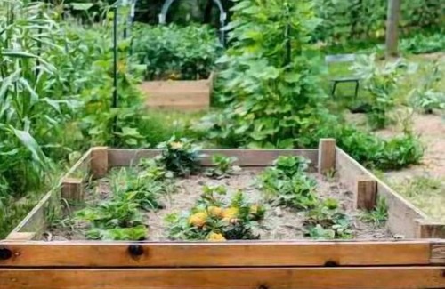 Canton House | Half Moon Farm