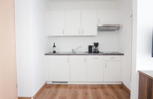 Tirolo Apartment | Haller Hof
