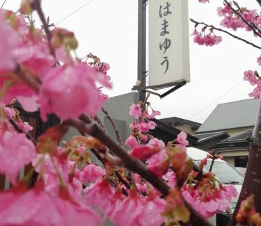 Katase Onsen Hotel | Hamayuu