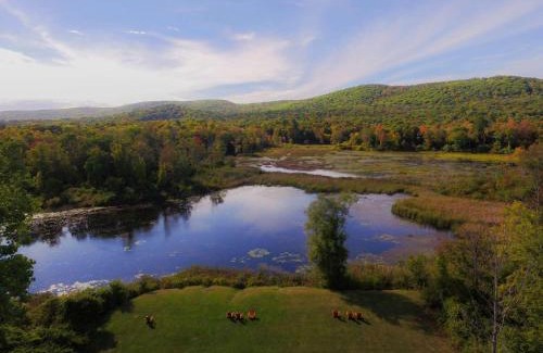 Lenox Hotel | Hampton Inn & Suites Berkshires-Lenox