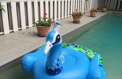 Springs House | Hamptons Beach House w/Pool, Chef's Kitchen, Wi-Fi, AC , WFH desk area