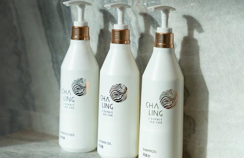 Hangzhou Hotel | Hangzhou Wulin GDA Hotel, Vignette Collection by IHG