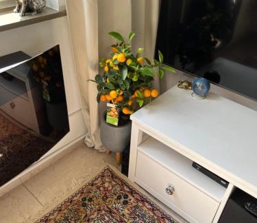 Mittelfeld Apartment | Hannover Messe Apartment