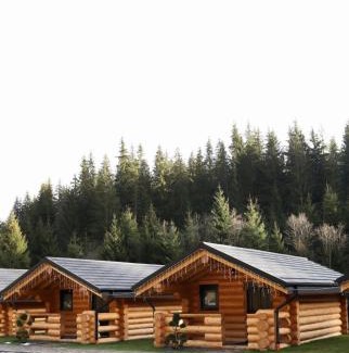 Carlibaba House | Hanul și Păstrăvăria Țibău