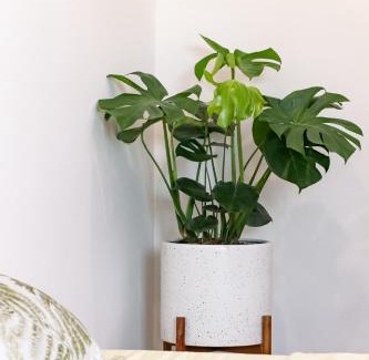 Ngo Quyen Apartment | Hapi Home