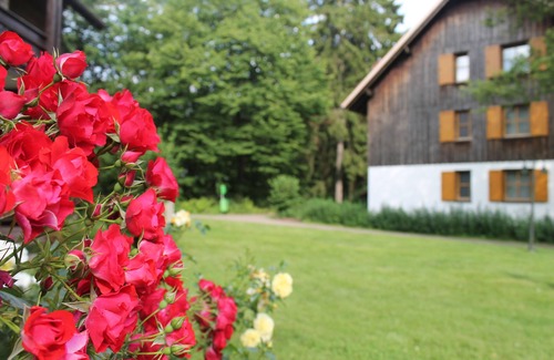 Braunlage Apartment | Hapimag Resort Braunlage