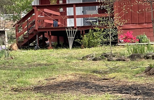 Heber Springs Cabin | Happy Camper Cabin is cozy and quiet!