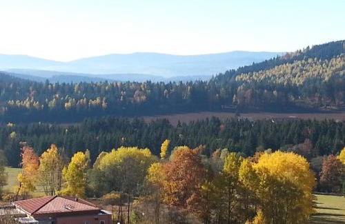 Bodenmais Apartment | Harlachberg Blick 1