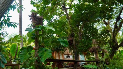 Buon Ma Thuot Apartment | HARMONY Bungalow