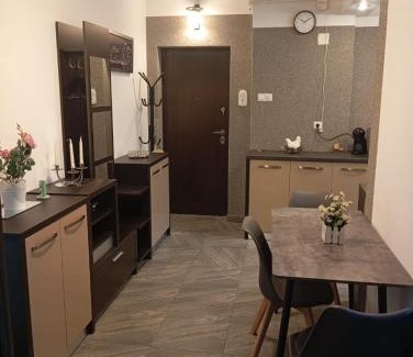 Hunedoara Apartment | Harmony House