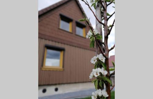 Elbingerode House | Harzhaus Ida