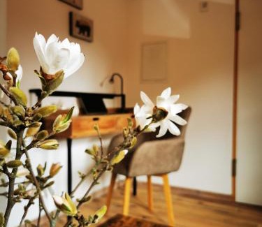 Ilsenburg Apartment | Haselnuss