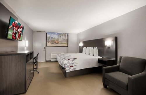 Alexandria Hotel | Hassle-Free Accommodation with Free Parking, Pets are Welcome!