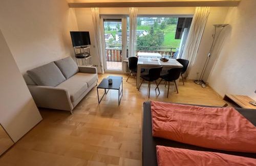 Todtnauberg Apartment | Haus am Sonnenberg, Todtnauberg, Ferienwohnung 204, direkt am Skilift-Skipiste, Nähe Feldberg