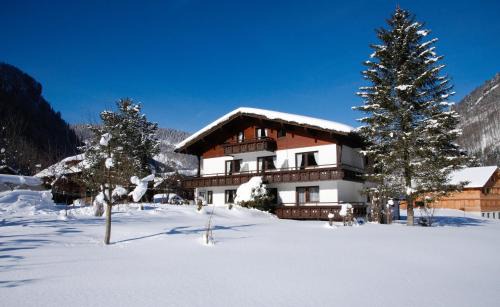 Mellau House | Haus Arnika