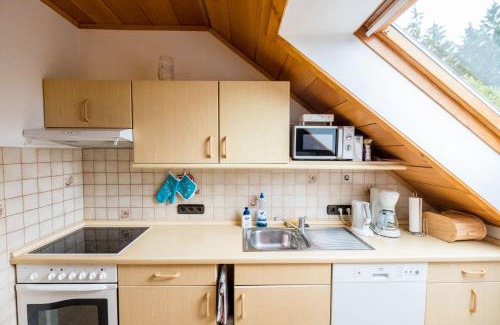 Bad Grund Apartment | Haus Fernblick