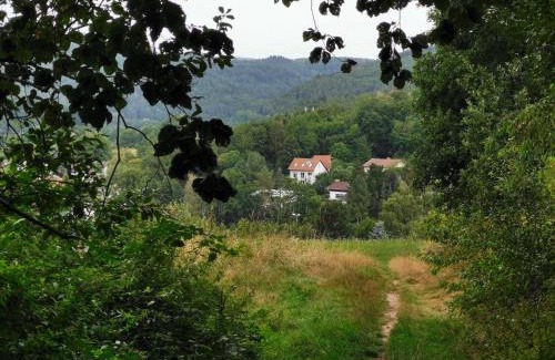 Michelstadt Apartment | Haus Froehlich