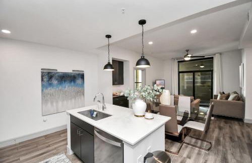 Braeswood Place Apartment | Haus of Blues-NRG Stadium-TX Med Center-Private Parking